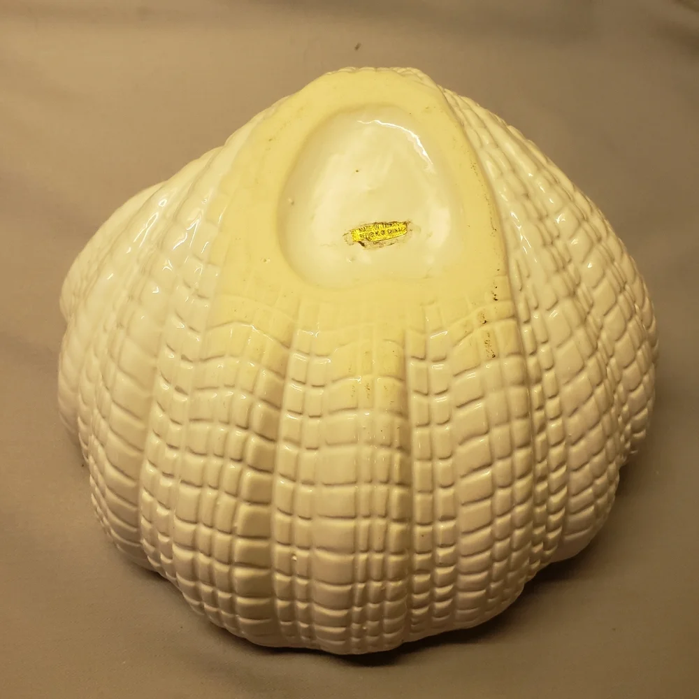 Vtg  White Ceramic Shell Great For Bathroom Sponge